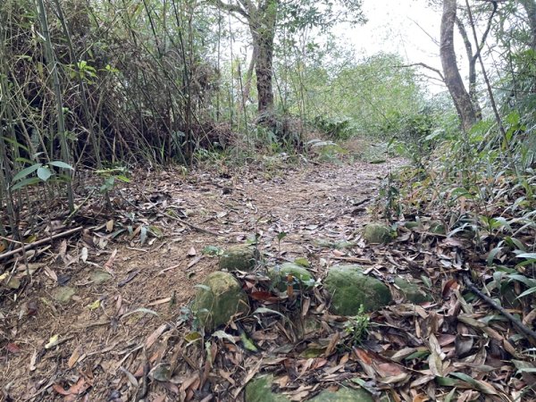 大湖翠湖金龍湖2711902