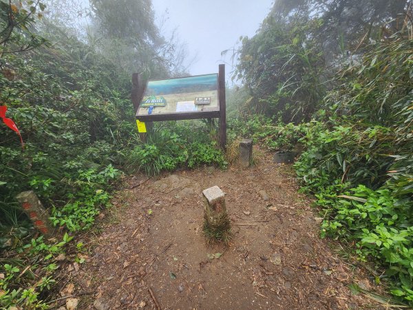 20241208上坪登五指山2683670