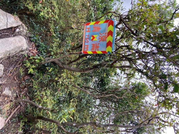 2025/09/07 大屯溪古道2926720