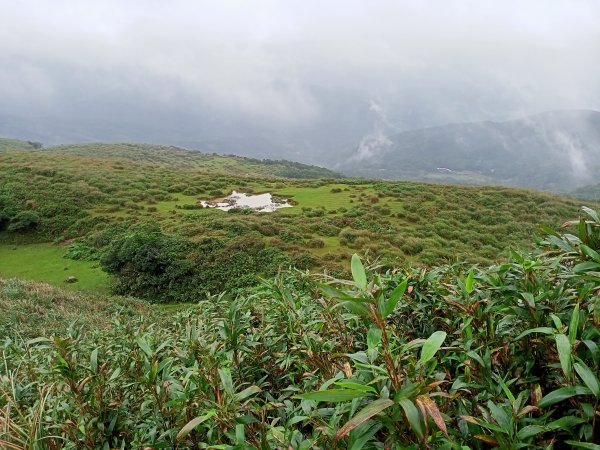 【新北-臺灣百大必訪步道】灣坑頭山→福德山→桃源谷草嶺線→大溪線→蕃薯寮山→大溪火車站1524571