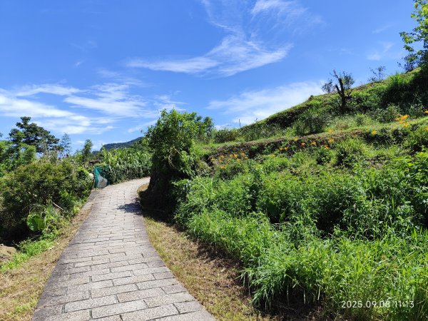 【臺北大縱走 7】2-1 樟山寺→樟樹步道→彩雲亭→相思炭窯→貓纜貓空站→指南路三段40巷2881793