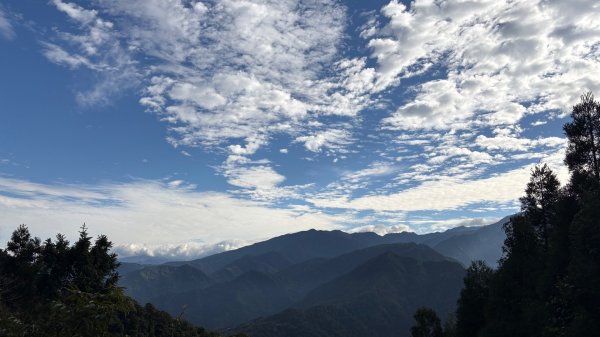 鵝黃色的優雅2960188