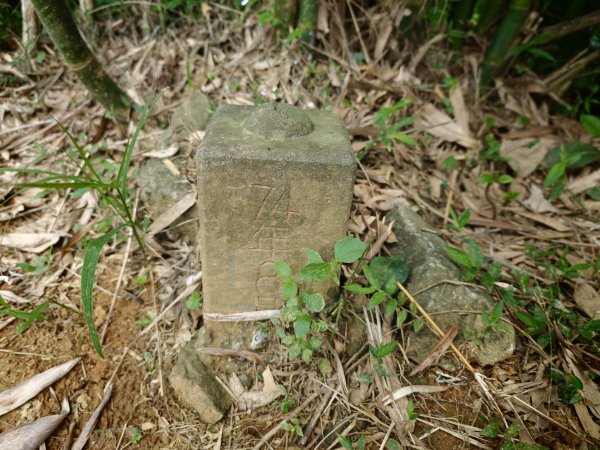 [淡蘭古道] 2026_0523 南路第一段_土地公嶺古道3069442
