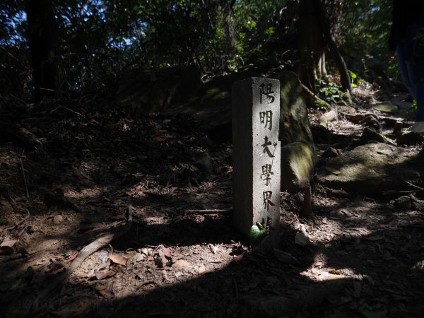 20210221｜軍艦岩、丹鳳山親山步道1281669