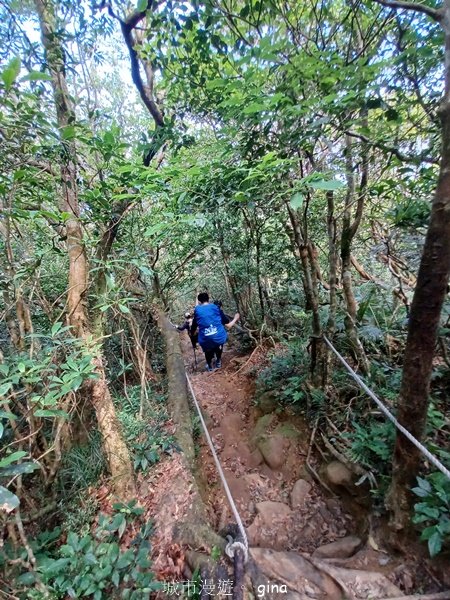 【屏東獅子鄉】海天一色。 台灣百大必訪步道~里龍山自然步道2550778