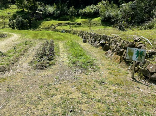 新北｜瑞芳．雙溪 淡蘭古道中路．暖東舊道（TK2-1~2-5 暖東峽谷步道、暖東舊道、五分山步道）2004158