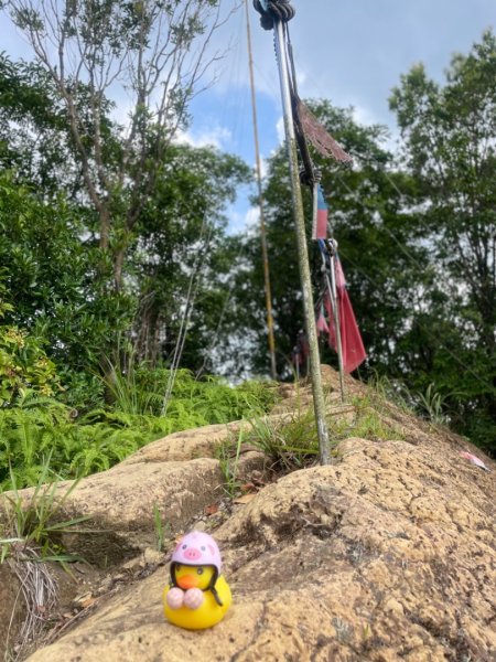 淡蘭古道北中南路全段共15段2567995