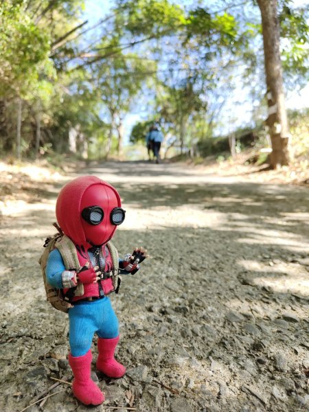 2023.12.24 旗尾山2838039