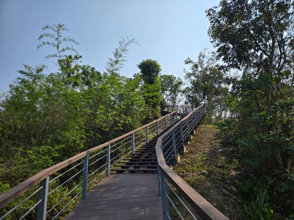 350高地、阿凰臘森林步道3033472