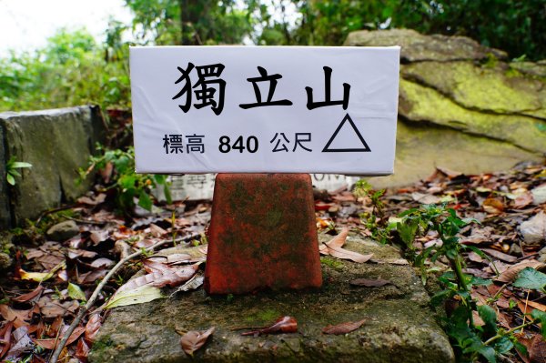 嘉義 梅山-竹崎 大巃頂、紅南坑山、獨立山、阿拔泉山、觀音石山、龜山