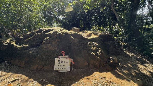 20251123鶯歌石步道2973983