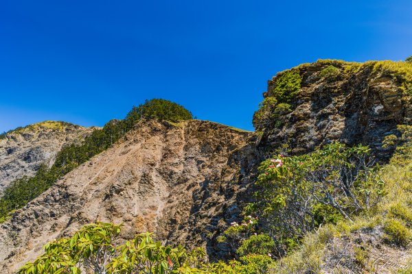 [百岳]合歡北、西峰3039438