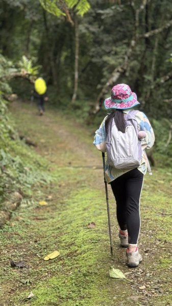 20260203小百岳月眉山鯉魚山2994879