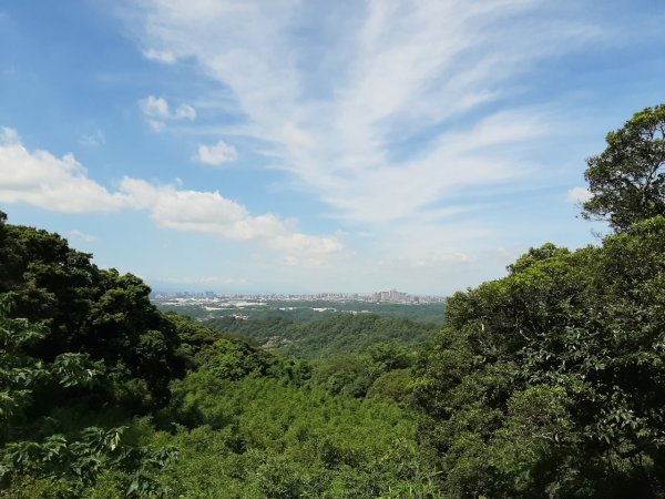 觀音山尋寶之林梢 楓櫃斗湖 福隆山 尖山1031520