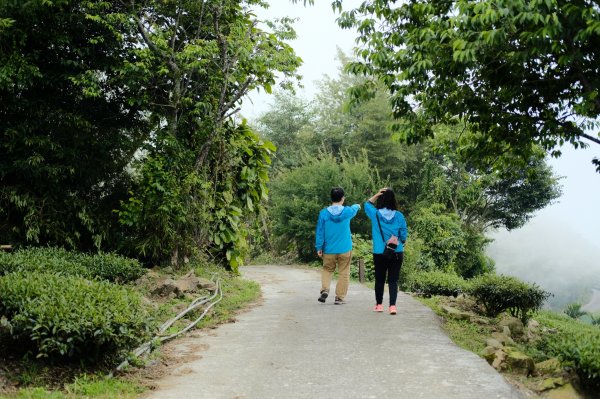 【雲林-嘉義】挑筍古道，車心崙步道897767