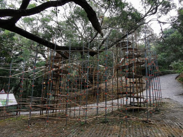 台南、高雄必訪步道：虎形山公園、大崗山、旗靈縱走、觀音山、半屏山、柴山 - 2022/2/131673493