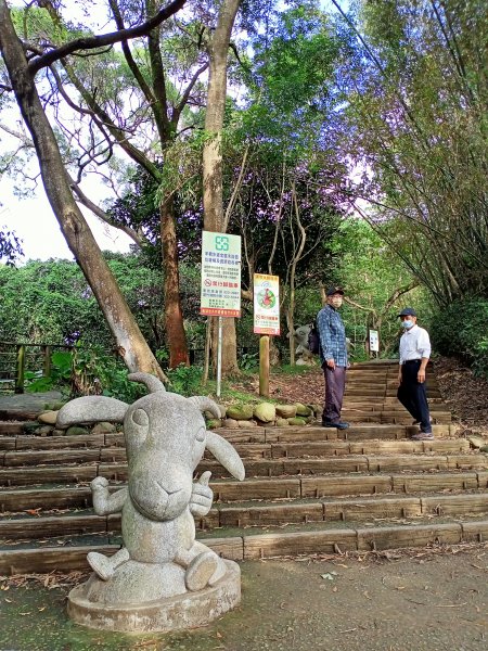 三訪桃園蘆竹羊稠森林步道【桃園-臺灣百大必訪步道】【南山神壽任務】1942560