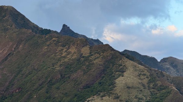 新北 瑞芳 黃金八稜七稜O型2956145