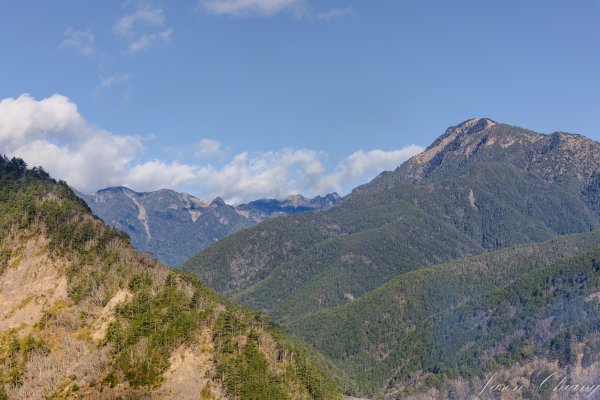 福壽山千櫻園櫻花季初開2717405