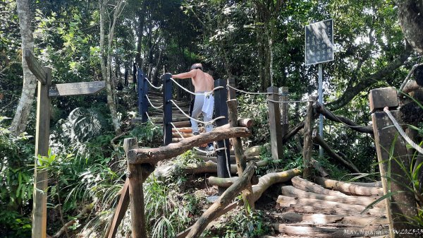 《台中》虎頭蜂巢｜大坑5號登頭嵙山黑松亭（聖普宮）202508092855073