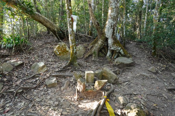 臺中 和平 白毛山、次郎山2670915