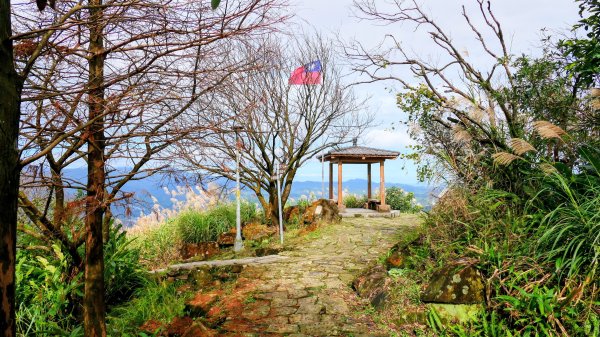 汐止大尖山2971890