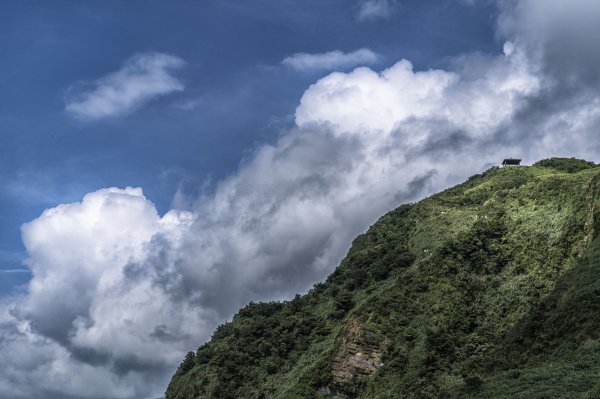2020-6-3草嶺古道1410129