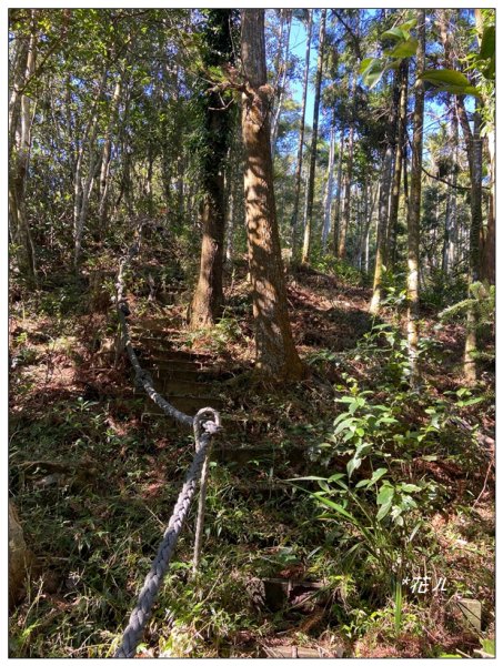 頭社山主峰及基點峰(社頭山)2681587