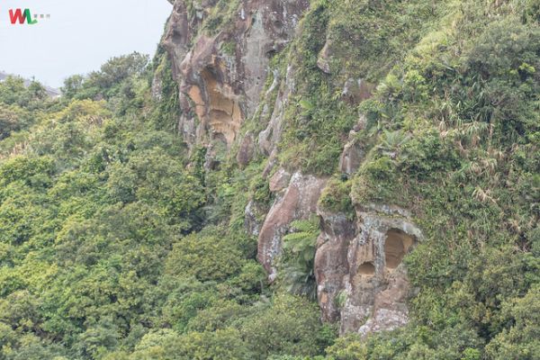 WL 愛旅行【槓子寮山】382342