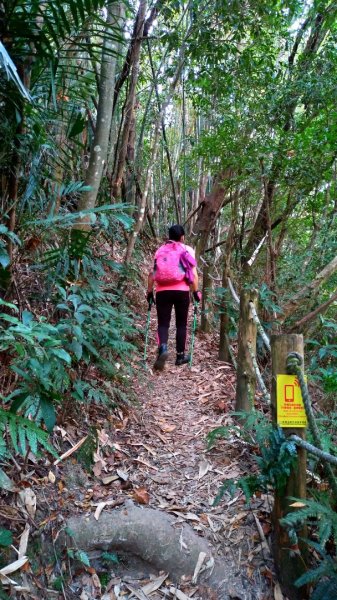 鳥嘴山別名【上島山】2019/11/10729914