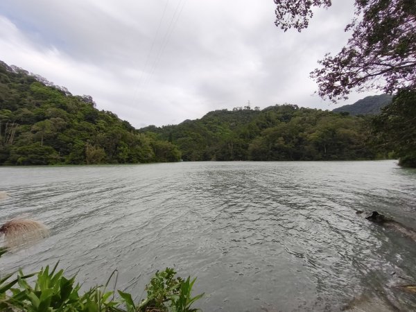 雙石縱走 + 石門水庫楓林步道