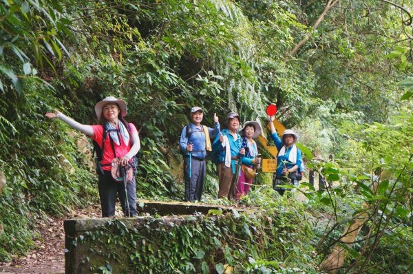 上磺溪橋走魚路古道/金包里城門/擎天崗/冷水坑2872158