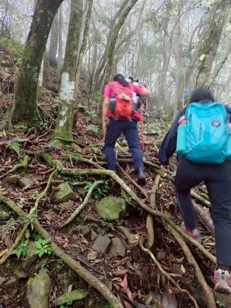🌈5/10（日）大混山縱走李棟山（李棟山莊）✨FB：熊熊趴爬走~歡迎加入🌈3052546