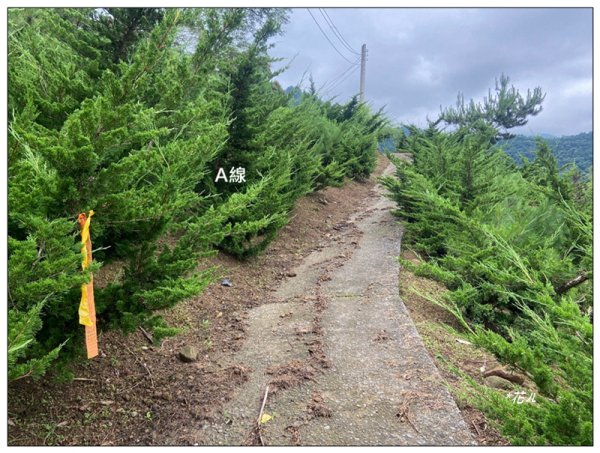 大克山 南稜線A上B下 (卓蘭最高峰)2825454