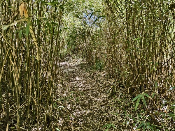 北一段(03/14)多加屯山 2025_0906~132885271