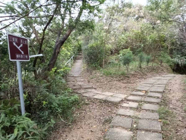 汐止區小南港山(橫科山)+白匏湖+白匏湖山+白雲古道2970626