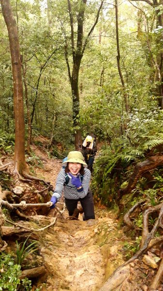 雨神山友：終於中籤的北插天山539973