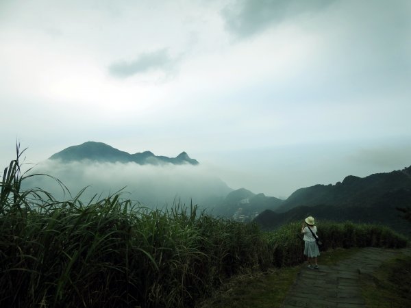 金瓜石地質公園+黃金神社20200502953399