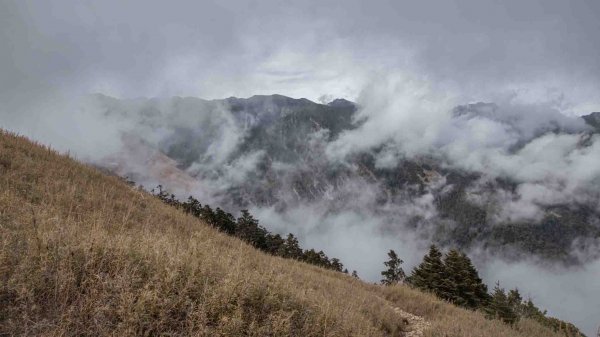 哭坡不哭-雪山東峰 & 七卡山莊之旅1561205