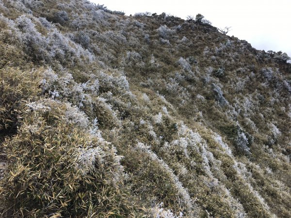 八通關山、八通關山西峰、秀姑巒山526167