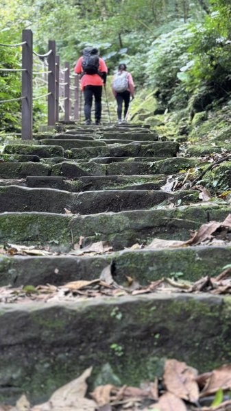 20250404銀河洞越嶺登山步道2752991