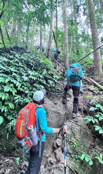 光天高山 - 向天湖山(小百岳32) 小O一圈2876930