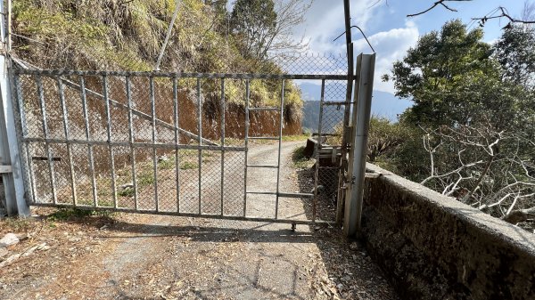 裡冷林道上八仙山標準路線2051837