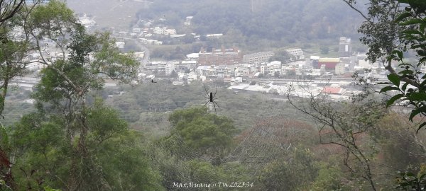 《苗栗》霧雨寒流｜三義三角山步道202512252969213