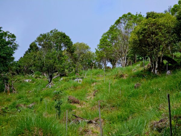 三星山-小百岳#85-宜蘭縣大同鄉2827528