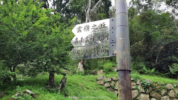 《雲林》望好望角｜石壁山嘉南雲峰步道(中側登山口）202506072805451
