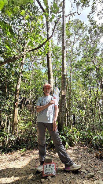 風和日麗來去烏來三山享受森林芬多精2984339