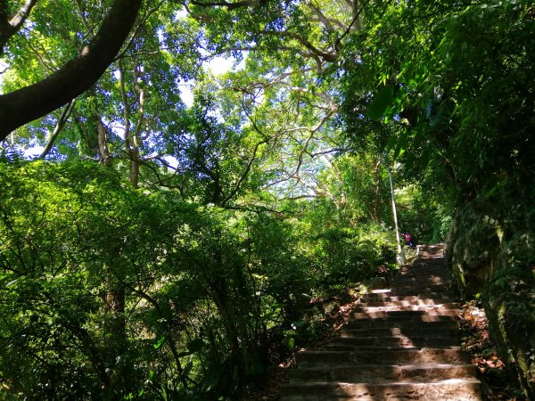 新北~360度極佳視野。八里觀音山硬漢嶺1152600