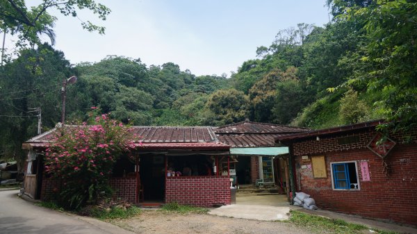 桃園金面山、金山面山 O型1373703