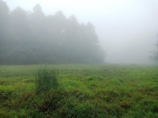 【後湖子山】雨中散步 矇矓美般的水鴨池